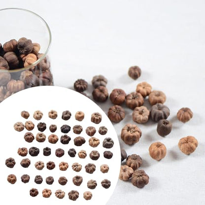 Mini Dried Pumpkin Decor for Floral Wreaths and Crafts, 50 Pack