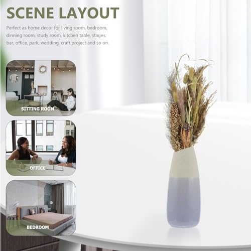 Dried Pampas Grass Decor Bundle for Living Room & Events