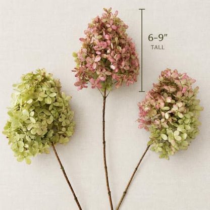 Dried Hydrangea Flowers Set - Large Natural Preserved Blooms for Wreaths & Decor