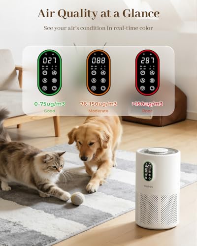 Westhey Large Room Air Purifier with Washable HEPA Filter Auto Mode - White
