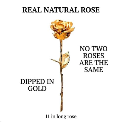 Eternal Rose 24K Gold-Dipped Real Rose - 11 Inch Preserved Flower Gift - Gold Variation