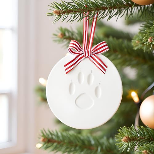 Pet Paw Print Ornament Kit - 2-Pack Holiday Christmas Keepsake Craft for Dogs & Cats - Satin Ribbon Included