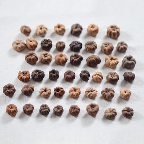 Mini Dried Pumpkin Decor for Floral Wreaths and Crafts, 50 Pack