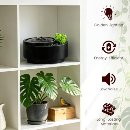 9 Inch Indoor Table Fountain with Succulent Plants - Zen Garden Water Feature