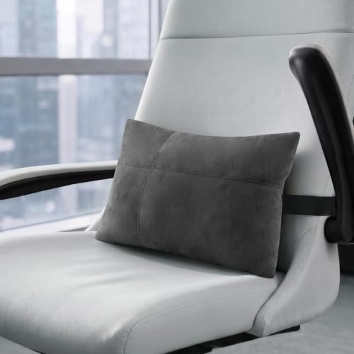 Lumbar Support Pillow for Car & Office Back Cushion Lower Back Pain Relief