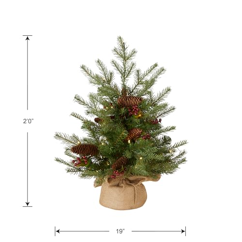 2ft Pre-Lit Nordic Spruce Mini Christmas Tree - Feel Real Artificial Holiday Tree