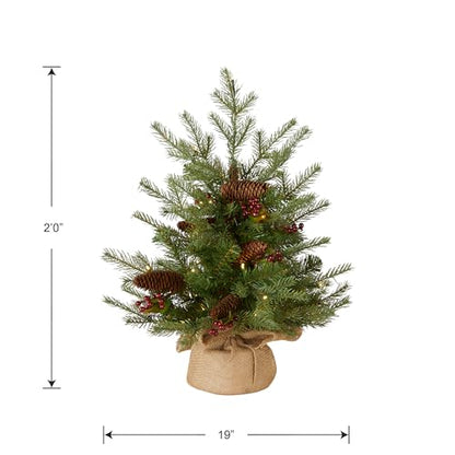 2ft Pre-Lit Nordic Spruce Mini Christmas Tree - Feel Real Artificial Holiday Tree