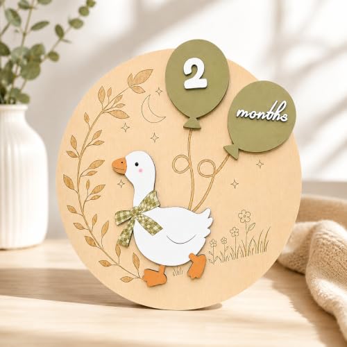 Baby Milestone Sign 3D White Goose Wooden Discs 1-12 Months with Interchangeable Numbers - Green Goose Variation