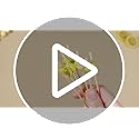 150 Lemon Cocktail Picks Bulk 4.7 Inch Bamboo Toothpicks for Appetizers & Drinks