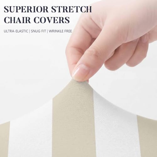 Beige Stretch Chair Covers Set of 6 - Cream Striped Dining Seat Protectors