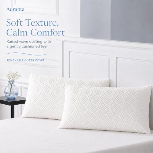 Queen Size Set of 2 Shredded Memory Foam Pillows - White, U.S. Standard