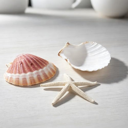 Beach Theme Coastal Decor Set with Shells and Starfish for Crafts and Weddings
