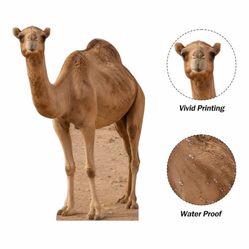 Desert Camel Cardboard Cutout Standee - 2ft Wildlife Party Decor
