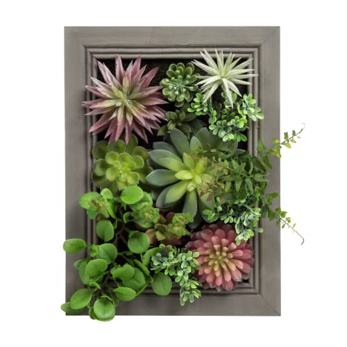Nattol Hanging Wall Artificial Plants 3D Artificial Succulent Plants Wall Hanging Plants with Rectangle Wooden Frames Faux Plants Greenery for Indoor Wall Decor
