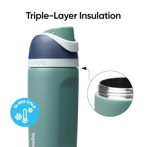 Kids Stainless Steel Water Bottle 16 oz with FreeSip Spout - Joshua Tree Variation