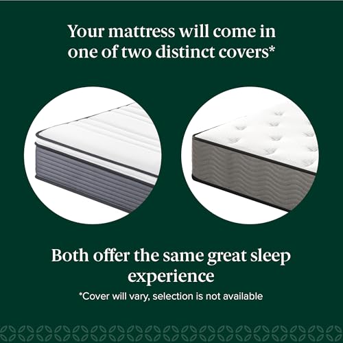 ZINUS 10 Inch True Support Hybrid Mattress [New Version], Queen, Fiberglass Free, Medium Feel, Motion Isolation, Certified Safe Foams & Fabric, Mattress in A Box