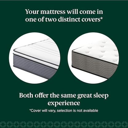 ZINUS 10 Inch True Support Hybrid Mattress [New Version], Queen, Fiberglass Free, Medium Feel, Motion Isolation, Certified Safe Foams & Fabric, Mattress in A Box