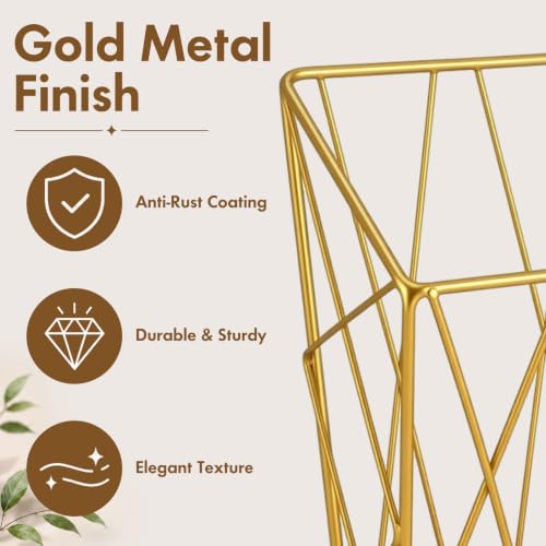 Gold Wall Mounted Magazine Rack - Metal Wall Organizer for Living Room, Office, Vanity