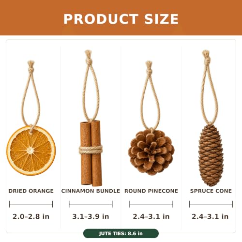 Natural Christmas Decorations Set with Dried Orange, Cinnamon, Pinecones