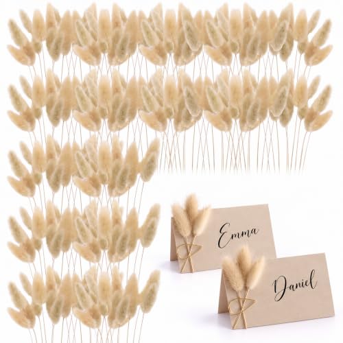 Natural Bunny Tails Dried Flowers Bulk 4 Inch for Boho Decor & Crafts