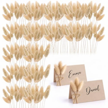 Natural Bunny Tails Dried Flowers Bulk 4 Inch for Boho Decor & Crafts