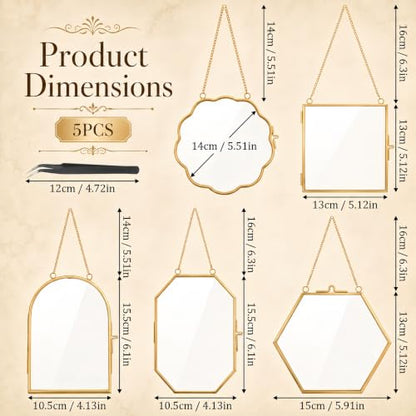 Pressed Flower Glass Frame Set 5Pcs - Scalloped Gold Wall Hanging Frames