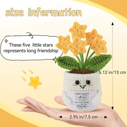 Bestie Crochet Star Flower Pot - Friendship Gift for Women