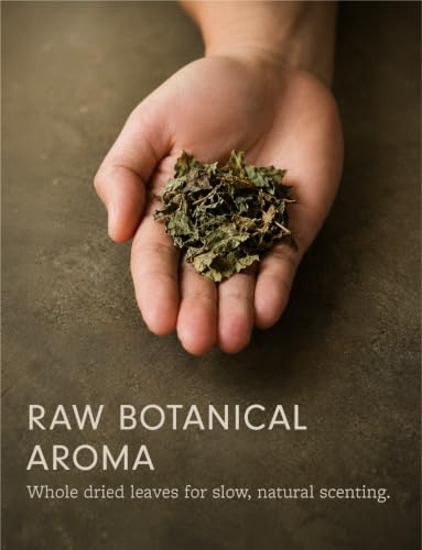 Dried Patchouli Leaves for Rituals Potpourri and Crafts 1 oz - Natural Aromatic Herb