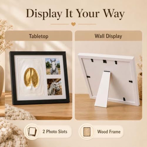 Horse Hoofprint Clay Kit with Frame & Paint Set - Black Variation