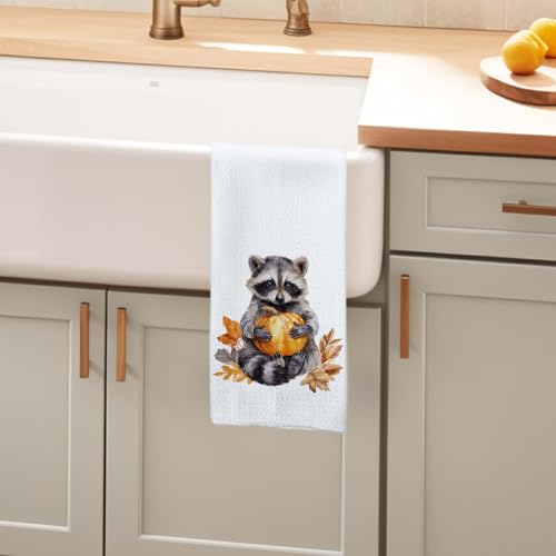 Raccoon Pumpkin Fall Kitchen Hand Towels - Autumn Halloween Decor, 16x24 Inch - Bundle of 1