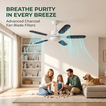 20-Pack Ceiling Fan Filter with Activated Carbon - Black Variation