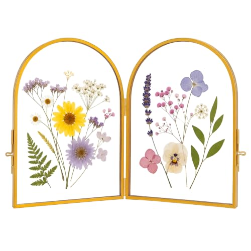 Double Glass Pressed Flower Frame - Gold 5x7 Inch Floating Picture Frame - Arched Design