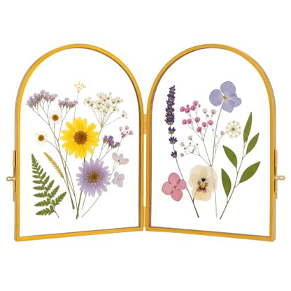 Double Glass Pressed Flower Frame - Gold 5x7 Inch Floating Picture Frame - Arched Design