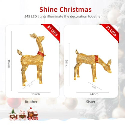 Outdoor Reindeer Family Christmas Decorations Set with 245 LED Lights - Gold