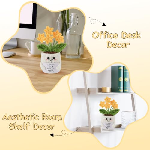 Bestie Crochet Star Flower Pot - Friendship Gift for Women