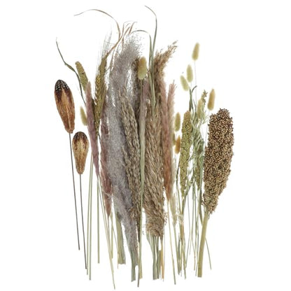 Dried Pampas Grass Decor Bundle for Living Room & Events