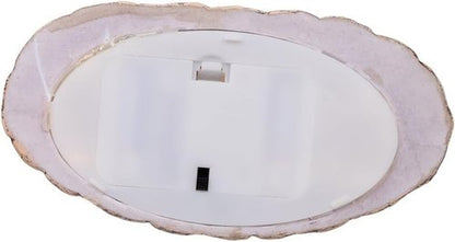 Kurt S. Adler 8-Inch Battery Operated Nativity Scene | Lighted with Spinning Glitter Water
