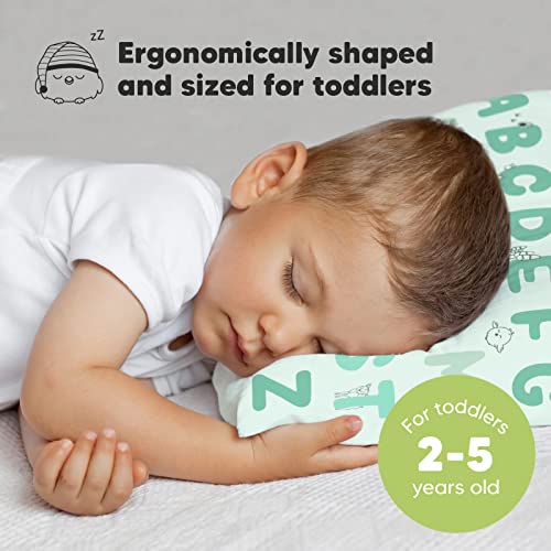 Toddler Pillow with Pillowcase - 13x18 My Little Dreamy Kids Travel Bed Pillows for Sleeping, Organic Cotton Small Pillowcase, Soft & Breathable, Machine Washable, Toddlers 2-5 years old (Kea123)