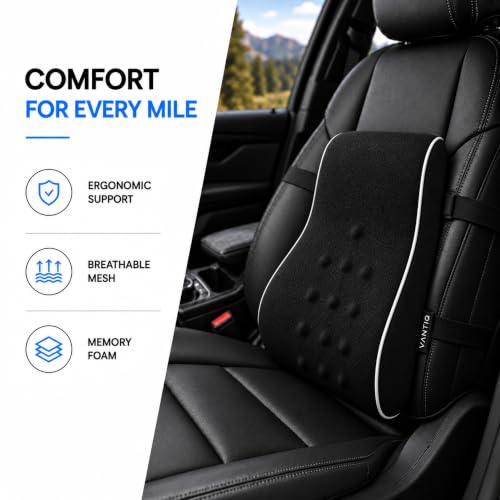 Ergonomic Lumbar Support Pillow for Office Chair Car Seat Gaming Seat Memory Foam