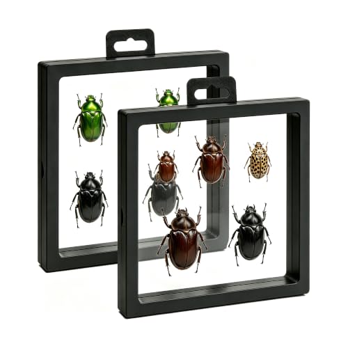 3D Floating Display Case Wall Mount 7.09x7.09 in Double Film Frame for Jewelry Medals