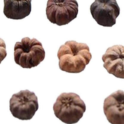 Mini Dried Pumpkin Decor for Floral Wreaths and Crafts, 50 Pack