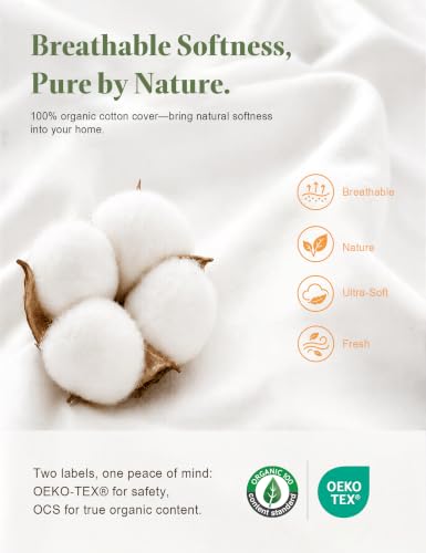 Organic Feather Down Euro Pillow Insert 26x26 White Pack of 2