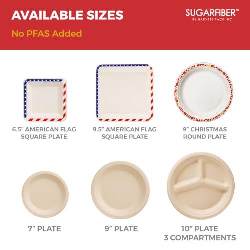 9 Inch Compostable Christmas Paper Plates Holiday Party Disposable Dinnerware - Harvest Pack