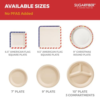 9 Inch Compostable Christmas Paper Plates Holiday Party Disposable Dinnerware - Harvest Pack