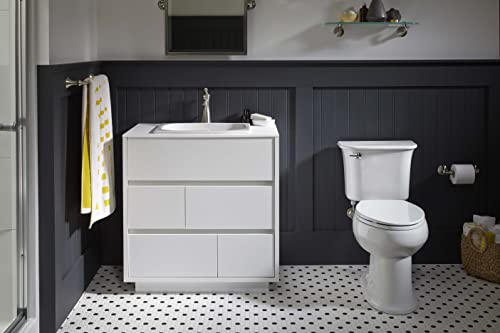 KOHLER 10554-Pb Devonshire Toilet Paper Holder, Vibrant Polished Brass