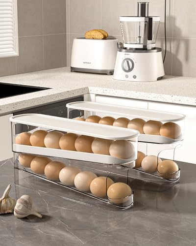 Egg Holder For Fridge With Lid - Auto Roll Down Egg Dispenser For Refrigerator Storage Organizer Space Saving Egg - Easy Access 2 Tier Egg Storage Rack (1 pcs)