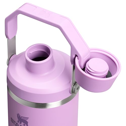 Stanley IceFlow 2.0 Fast Flow Tumbler with Handle 30 oz | Twist On Angled Spout Lid | Leakproof Water Bottle | Insulated Stainless Steel | BPA-Free | Lilac