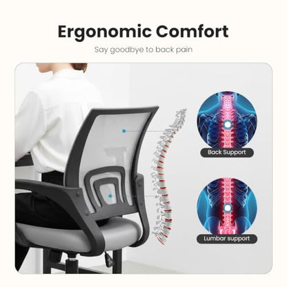 DUMOS Ergonomic Office Chair Grey 2 Pack - Mid-Back Lumbar Support
