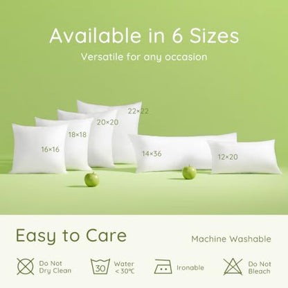 Ashler 18x18 Inch Hypoallergenic Pillow Insert Set of 1