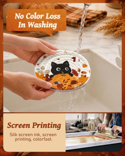 Autumn Pumpkin & Cat Coasters Set of 4 with Holder - Fall Decor